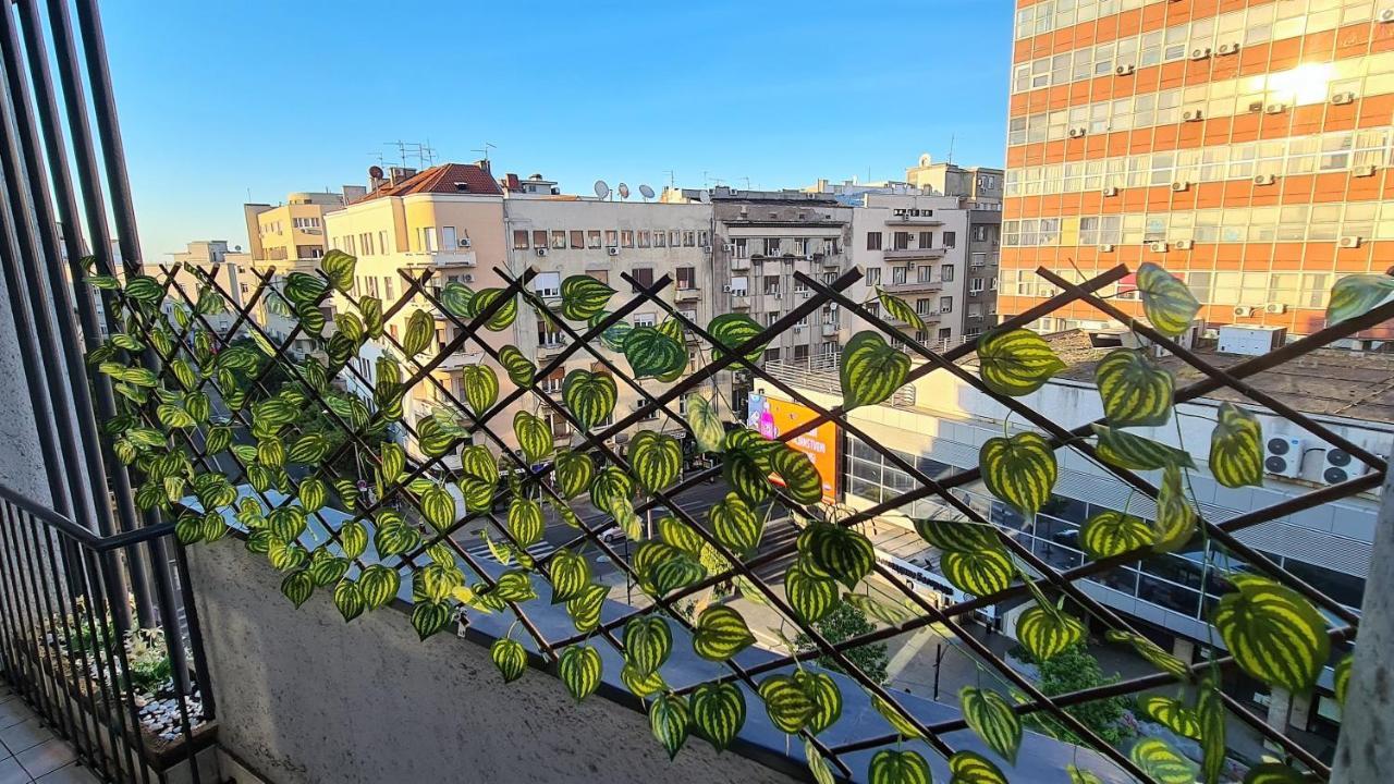 Windows City Apartment بلغراد المظهر الخارجي الصورة